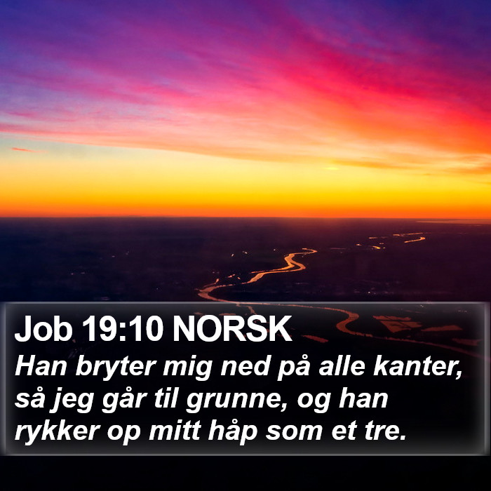 Job 19:10 NORSK Bible Study