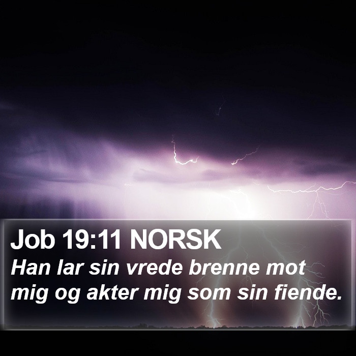 Job 19:11 NORSK Bible Study