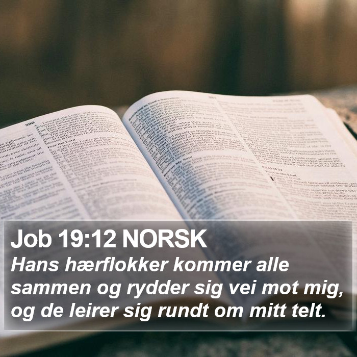 Job 19:12 NORSK Bible Study