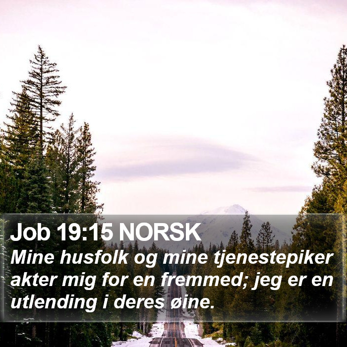 Job 19:15 NORSK Bible Study