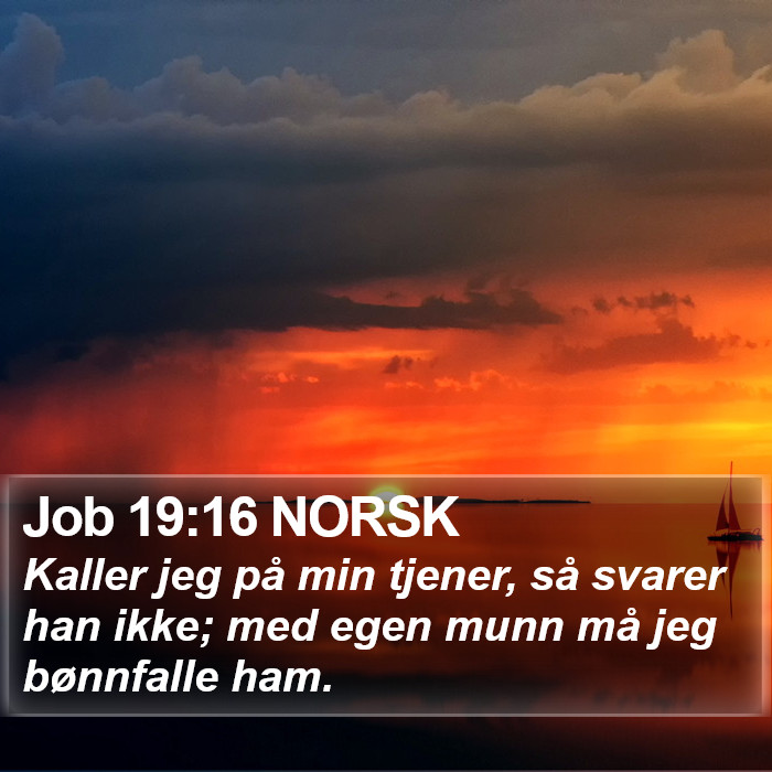 Job 19:16 NORSK Bible Study