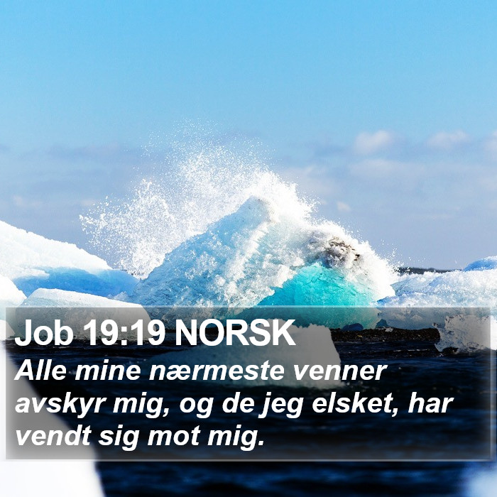 Job 19:19 NORSK Bible Study