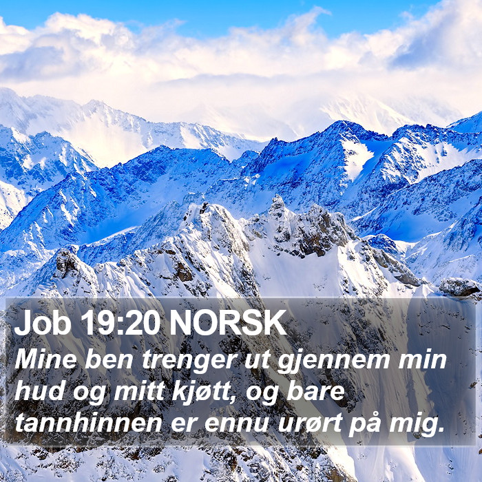 Job 19:20 NORSK Bible Study