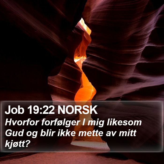 Job 19:22 NORSK Bible Study