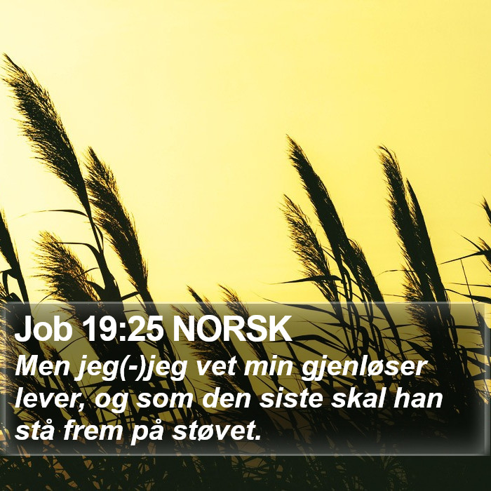 Job 19:25 NORSK Bible Study