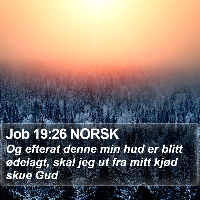 Job 19:26 NORSK Bible Study