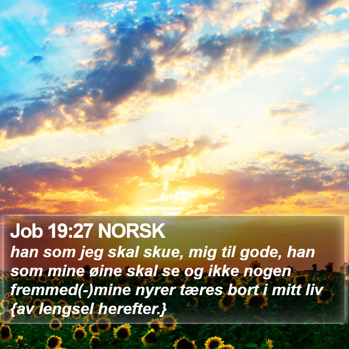 Job 19:27 NORSK Bible Study