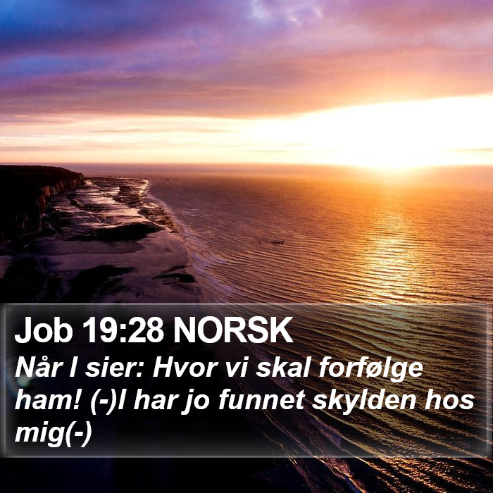 Job 19:28 NORSK Bible Study