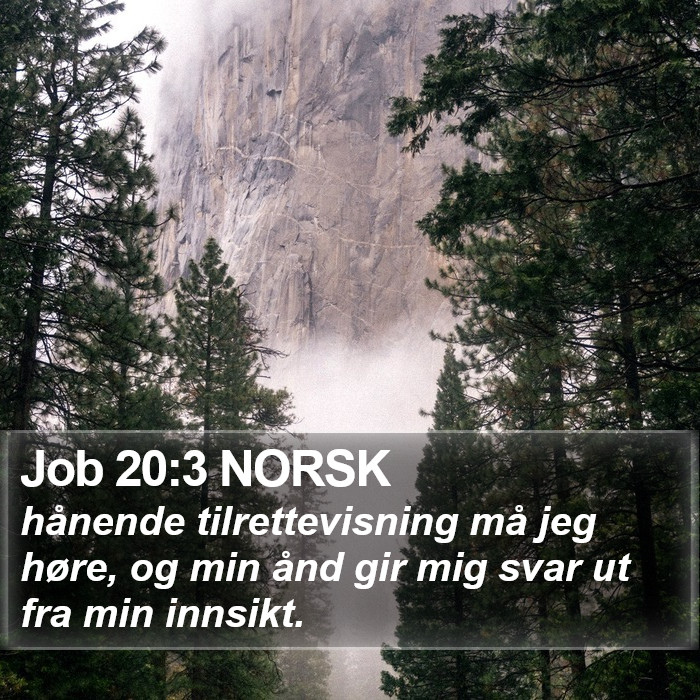Job 20:3 NORSK Bible Study