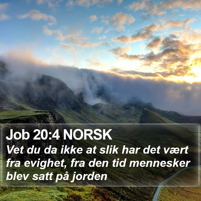 Job 20:4 NORSK Bible Study