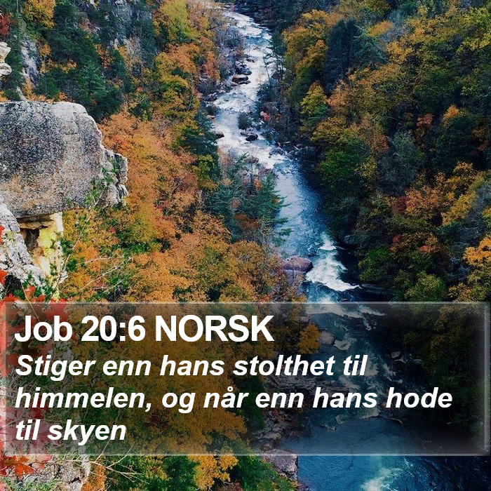 Job 20:6 NORSK Bible Study