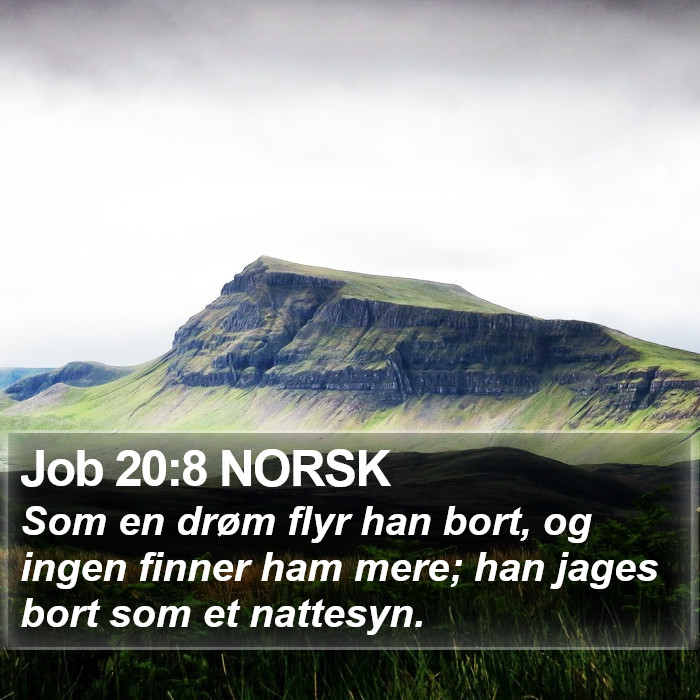 Job 20:8 NORSK Bible Study