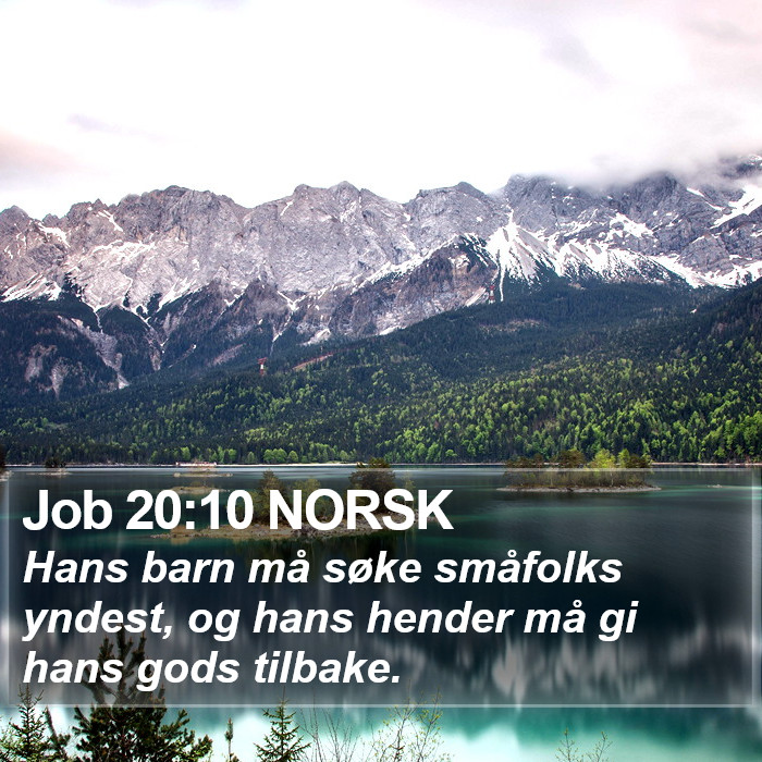 Job 20:10 NORSK Bible Study