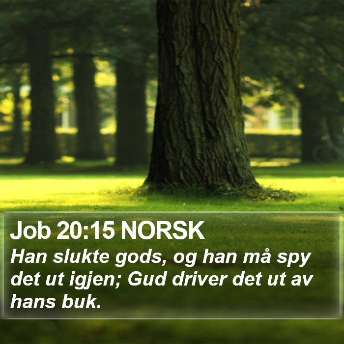 Job 20:15 NORSK Bible Study