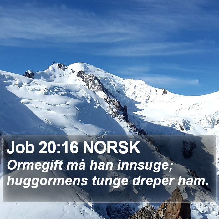 Job 20:16 NORSK Bible Study
