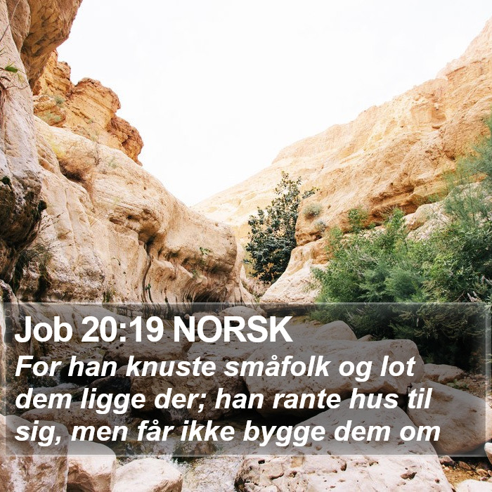 Job 20:19 NORSK Bible Study