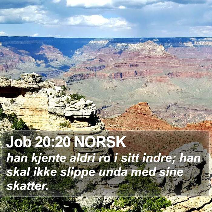 Job 20:20 NORSK Bible Study
