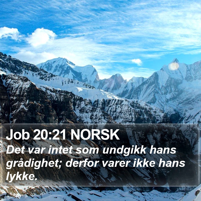 Job 20:21 NORSK Bible Study
