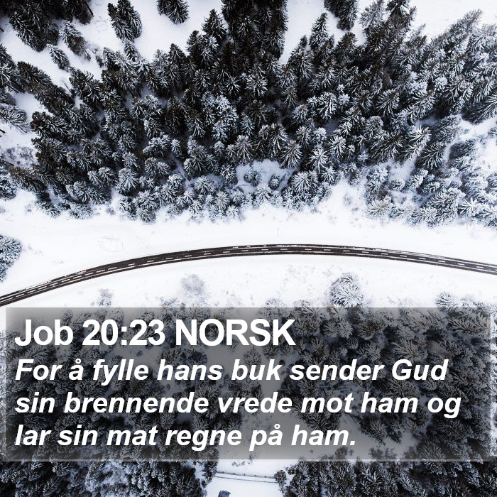 Job 20:23 NORSK Bible Study