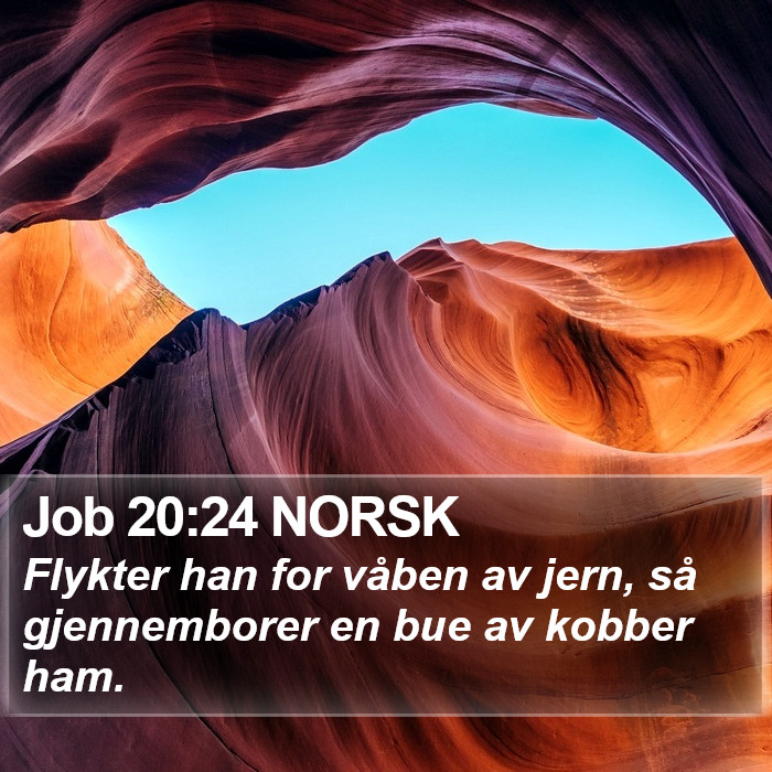 Job 20:24 NORSK Bible Study