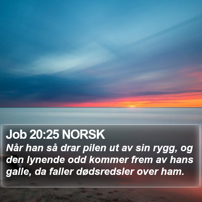 Job 20:25 NORSK Bible Study