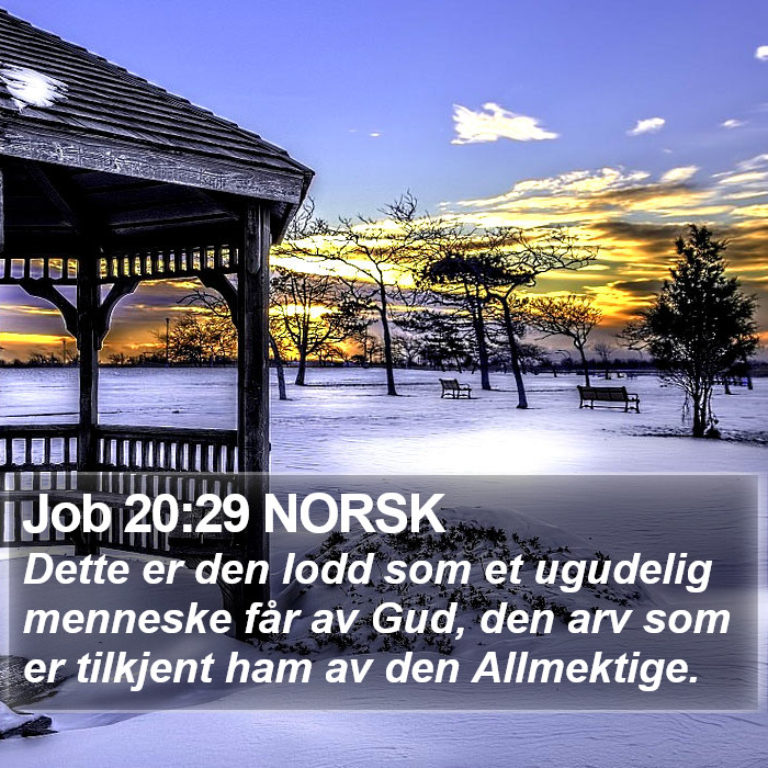 Job 20:29 NORSK Bible Study