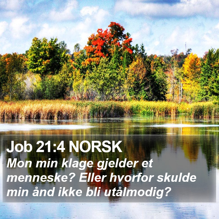 Job 21:4 NORSK Bible Study