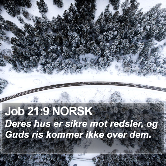 Job 21:9 NORSK Bible Study