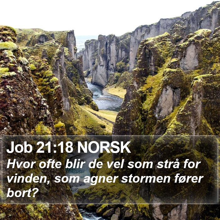 Job 21:18 NORSK Bible Study