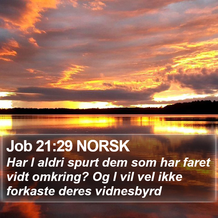 Job 21:29 NORSK Bible Study