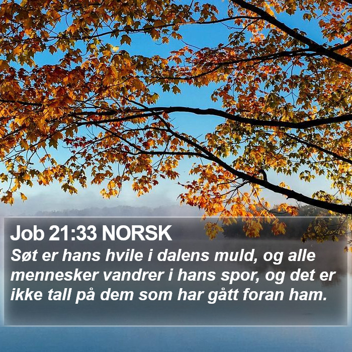 Job 21:33 NORSK Bible Study