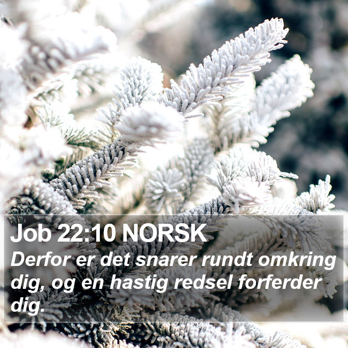 Job 22:10 NORSK Bible Study