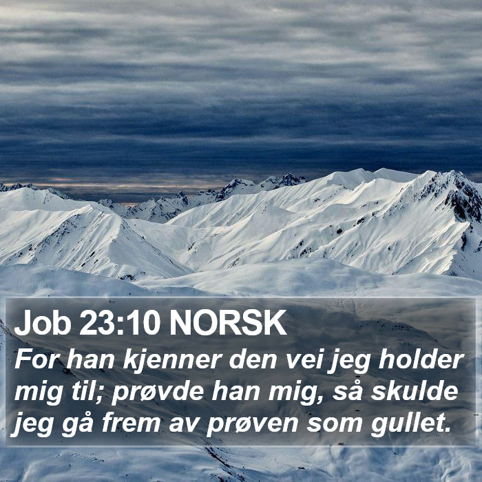 Job 23:10 NORSK Bible Study