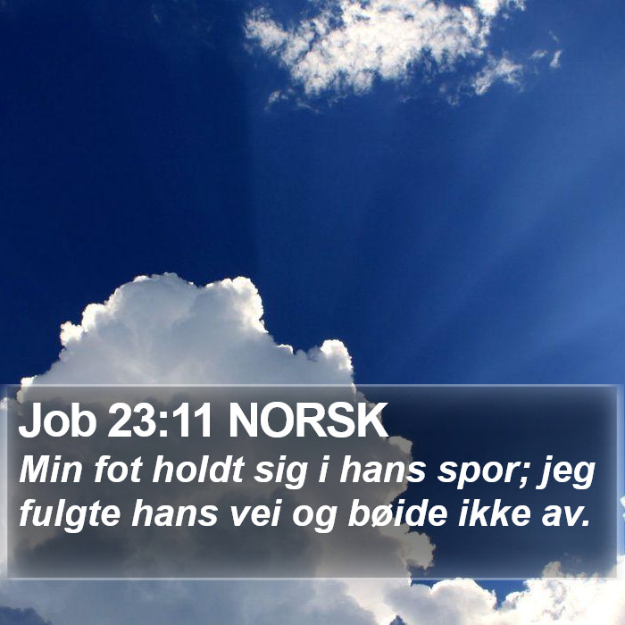 Job 23:11 NORSK Bible Study