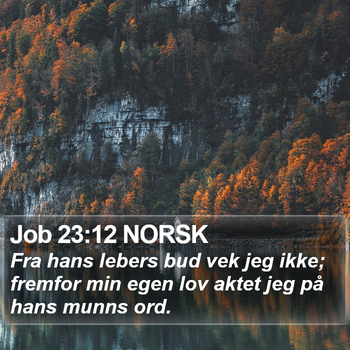 Job 23:12 NORSK Bible Study