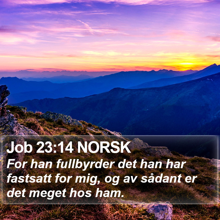 Job 23:14 NORSK Bible Study