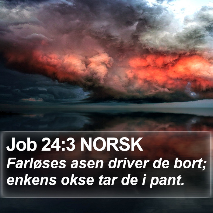Job 24:3 NORSK Bible Study