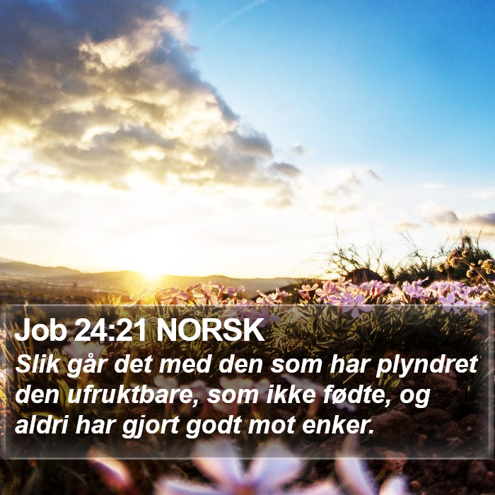 Job 24:21 NORSK Bible Study