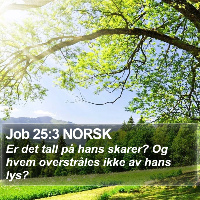 Job 25:3 NORSK Bible Study