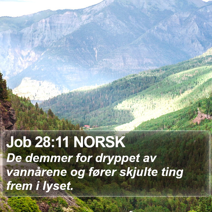 Job 28:11 NORSK Bible Study