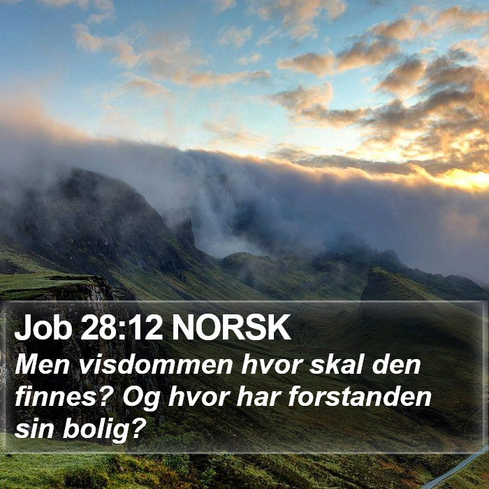Job 28:12 NORSK Bible Study