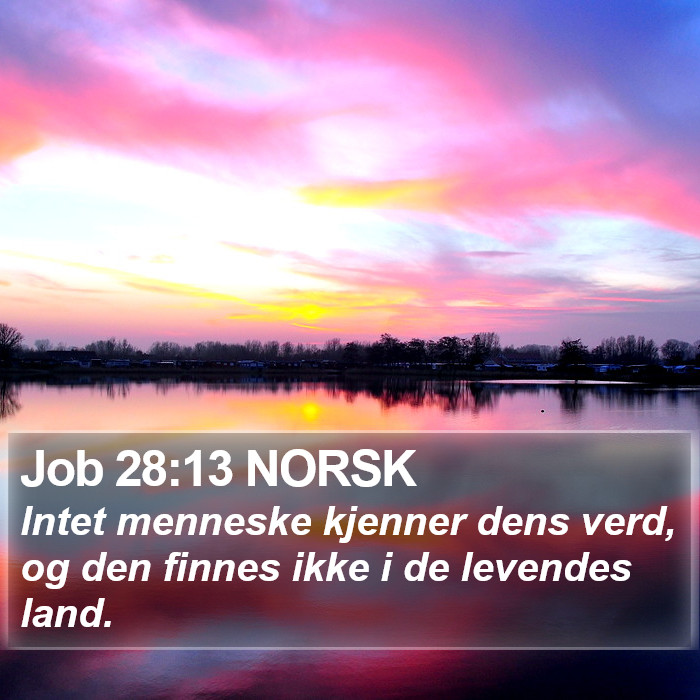 Job 28:13 NORSK Bible Study