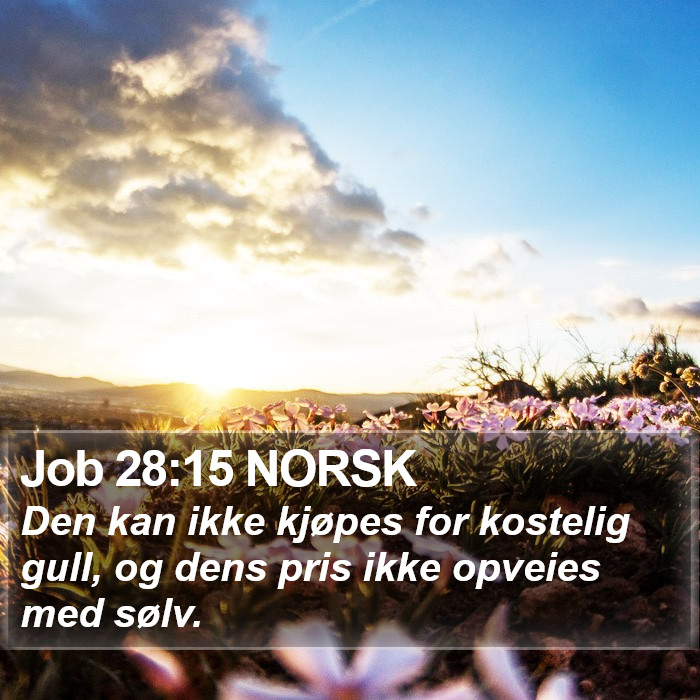 Job 28:15 NORSK Bible Study