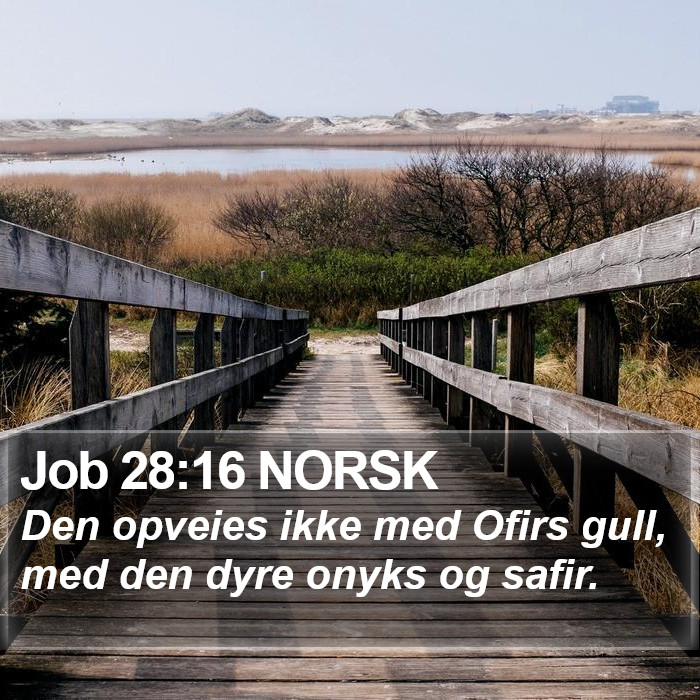 Job 28:16 NORSK Bible Study