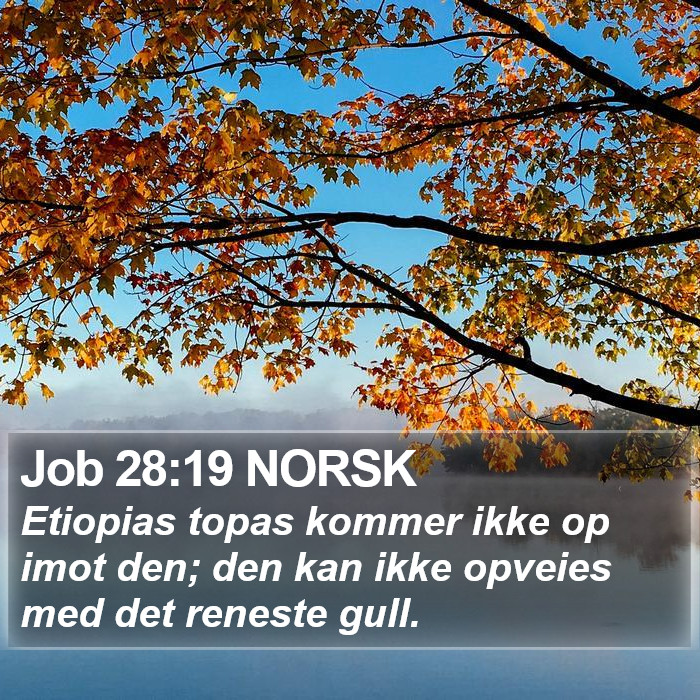 Job 28:19 NORSK Bible Study