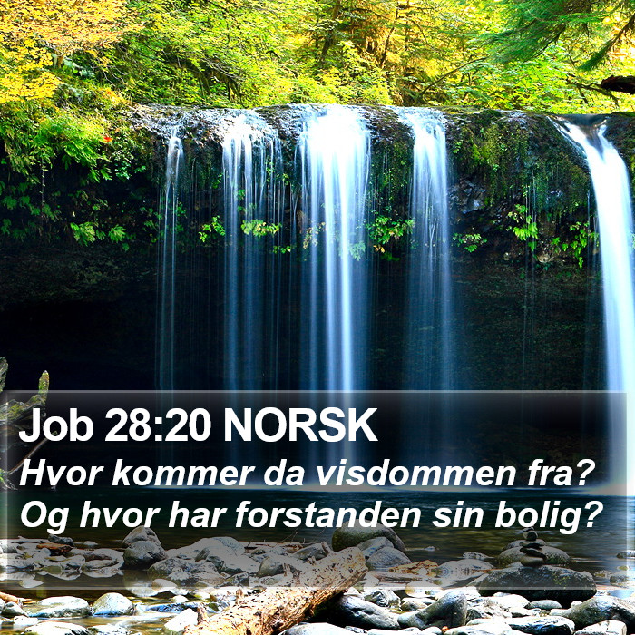 Job 28:20 NORSK Bible Study