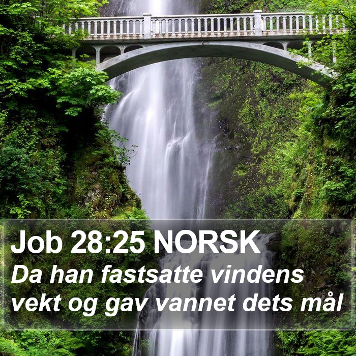 Job 28:25 NORSK Bible Study