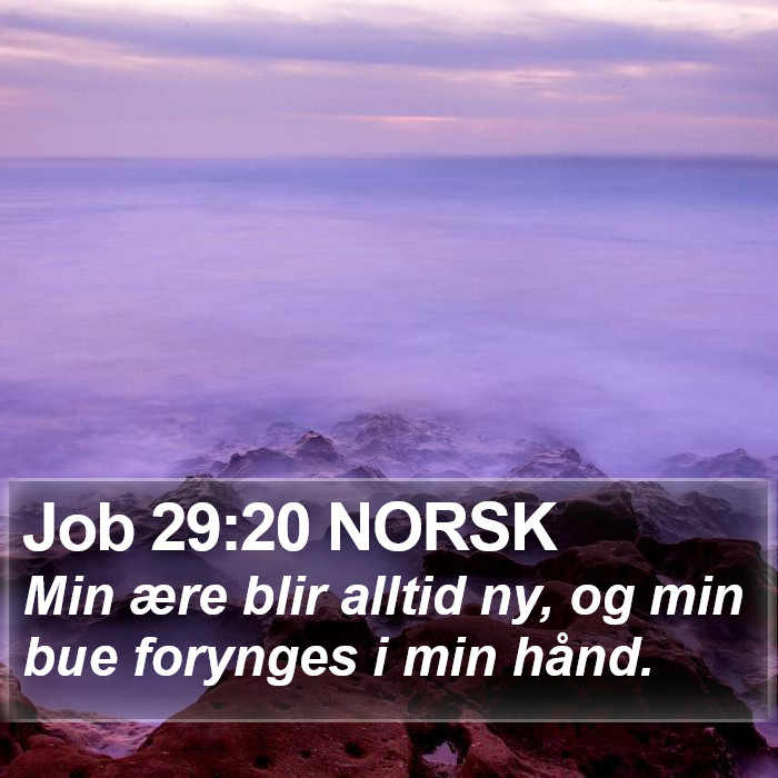 Job 29:20 NORSK Bible Study