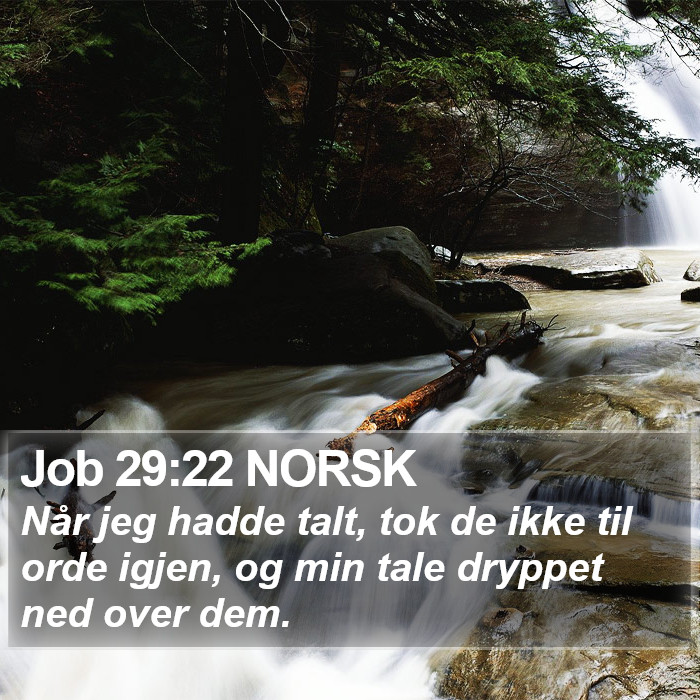 Job 29:22 NORSK Bible Study