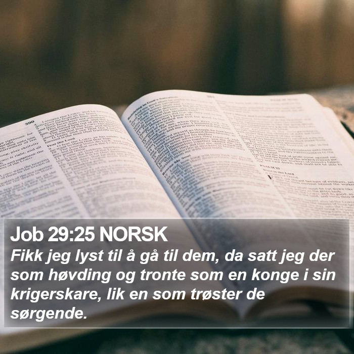 Job 29:25 NORSK Bible Study